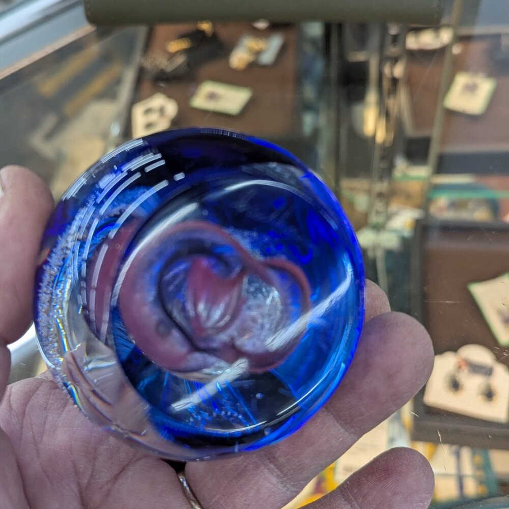 Caithness Glass Limited Edition Paperweight #173/500 Signed Handcrafted/Scotland - Picture 11 of 12